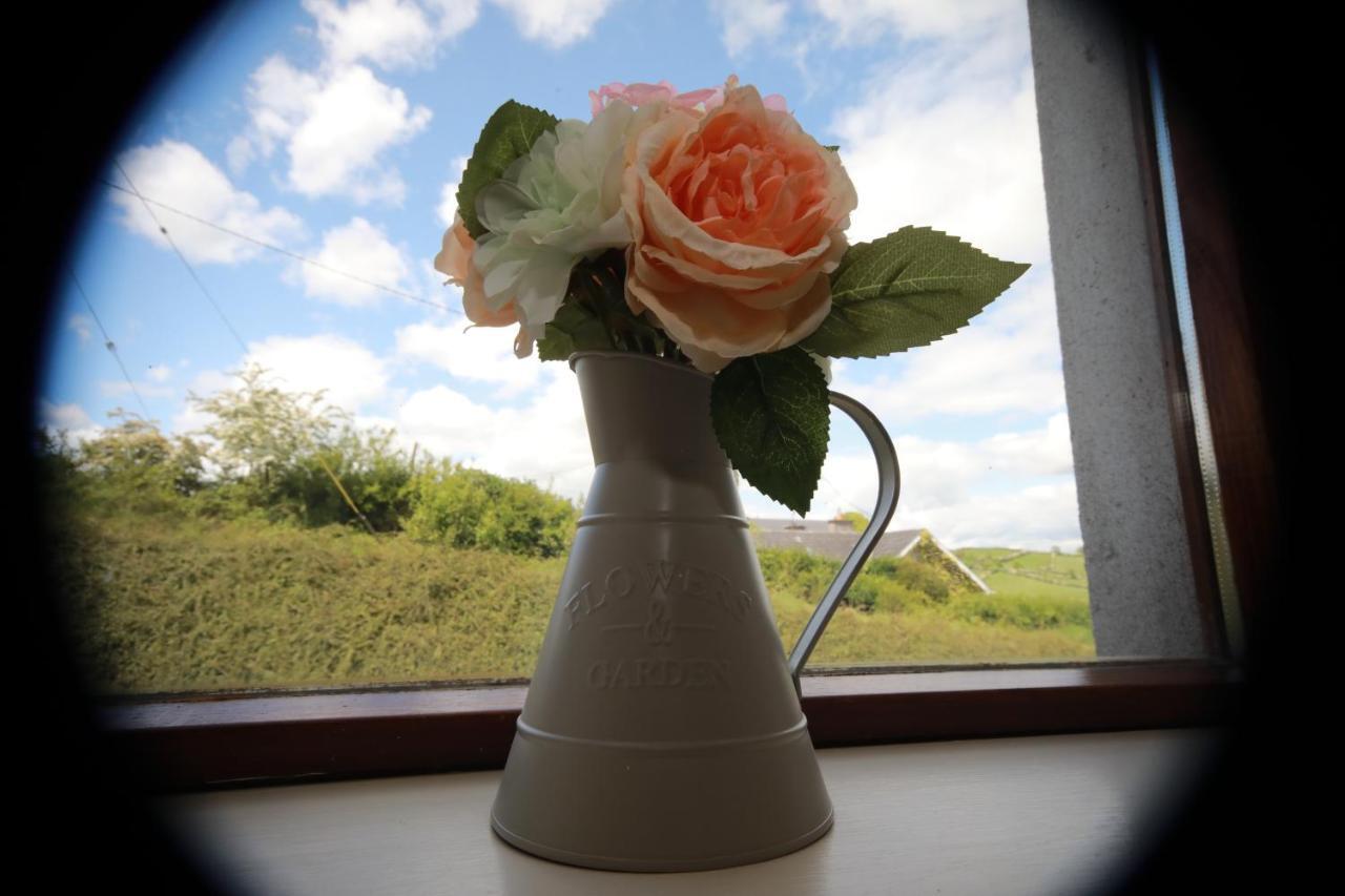 Alices Loft&Cottages Castleblayney Exteriör bild